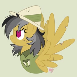 Size: 2048x2048 | Tagged: safe, artist:czscribbles, imported from derpibooru, daring do, pegasus, pony, bust, clothes, female, green background, hat, mare, no pupils, profile, scratches, shirt, simple background, smiling, solo, spread wings, wings