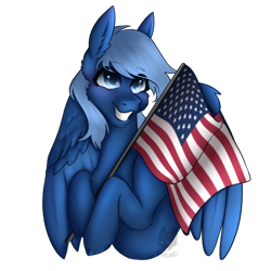 Size: 2000x2000 | Tagged: safe, artist:rainland, imported from derpibooru, oc, oc only, oc:blueshadow, pegasus, pony, american flag, commission, flag, solo