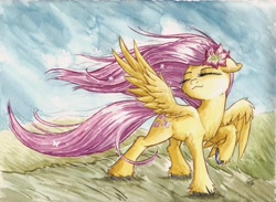 Size: 3424x2508 | Tagged: safe, artist:the-wizard-of-art, imported from derpibooru, fluttershy, pegasus, pony, eyes closed, female, flower, flower in hair, high res, mare, raised hoof, solo, spread wings, tail, traditional art, unshorn fetlocks, watercolor painting, windswept mane, wings