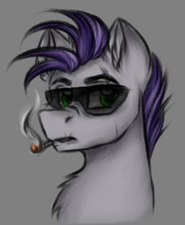 Size: 587x716 | Tagged: safe, artist:darklight1315, imported from derpibooru, oc, oc only, oc:botcher, earth pony, pony, fallout equestria, cigarette, fallout equestria: mayday, gray background, simple background, smoking, sunglasses