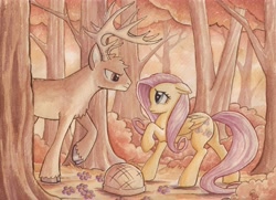 Size: 6802x4928 | Tagged: safe, artist:the-wizard-of-art, imported from derpibooru, fluttershy, deer, pegasus, pony, absurd resolution, duo, duo male and female, female, folded wings, forest, looking at each other, looking at someone, male, mare, nature, outdoors, profile, raised hoof, side view, tail, traditional art, tree, watercolor painting, whitetail deer, wings