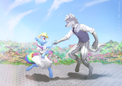 Size: 3508x2480 | Tagged: safe, artist:nononge, imported from derpibooru, rainbow dash, oc, anthro, wolf, beastars, canon x oc, duo, flower, haru, legoshi, wingless