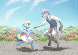 Size: 3508x2480 | Tagged: safe, artist:nononge, imported from derpibooru, rainbow dash, oc, anthro, pegasus, wolf, beastars, canon x oc, dancing, day, duo, flower, haru, legoshi, sky