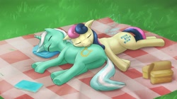 Size: 1900x1061 | Tagged: safe, artist:eltanin_hane, imported from derpibooru, bon bon, lyra heartstrings, sweetie drops, earth pony, pony, unicorn, duo, duo female, female, horn, lying down, mare, on side, picnic blanket, sleeping