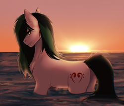 Size: 2800x2400 | Tagged: safe, artist:enderbee, imported from derpibooru, oc, oc only, oc:trance sequence, earth pony, pony, looking back, male, ocean, solo, stallion, sunset, water