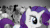 Size: 1920x1080 | Tagged: safe, artist:larkin, imported from derpibooru, fluttershy, rarity, pegasus, pony, unicorn, series:the antithology, animated, female, hasbro, hasbro logo, hub logo, logo, mare, meme, ponified meme, show accurate, smiling, smirk, sound, the antithology 4.0, the hub, walking, webm, zoolander