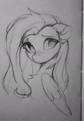 Size: 1429x2048 | Tagged: safe, artist:vensual99, imported from derpibooru, fluttershy, pegasus, pony, black and white, blushing, bust, chest fluff, female, grayscale, mare, monochrome, sketch, solo, traditional art