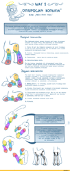 Size: 1000x2445 | Tagged: safe, artist:et_ya, artist:eto ya, imported from derpibooru, earth pony, pony, anatomy, bone, comic, cyrillic, food, halo, male, pear, russian, solo, stallion, tutorial