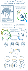 Size: 1000x2476 | Tagged: safe, artist:et_ya, artist:eto ya, imported from derpibooru, earth pony, pony, anatomy, comic, cyrillic, faic, female, male, mare, russian, solo, stallion, tutorial