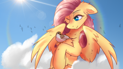 Size: 2578x1450 | Tagged: safe, artist:divori, imported from derpibooru, fluttershy, bird, pegasus, pony, chest fluff, ear fluff, female, mare, sky, solo, solo female, sun, wings