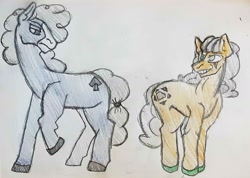 Size: 1878x1334 | Tagged: safe, artist:midday sun, imported from derpibooru, oc, oc only, oc:gentle shadow, oc:lucky card, earth pony, pony, traditional art