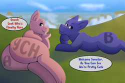 Size: 2800x1860 | Tagged: safe, artist:brushwork, imported from derpibooru, oc, pony, butt, commission, duo, duo male, lying down, male, plot, stallion, ych example, your character here