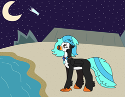 Size: 2491x1924 | Tagged: safe, artist:supahdonarudo, imported from derpibooru, oc, oc only, oc:icebeak, classical hippogriff, hippogriff, beach, jewelry, looking up, moon, necklace, night, ocean, sad, shooting star, stars, water