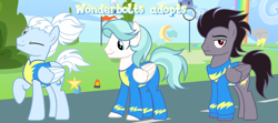 Size: 1280x567 | Tagged: safe, artist:vi45, imported from derpibooru, oc, oc only, pegasus, pony, clothes, male, stallion, uniform, winmk, wonderbolt trainee uniform, wonderbolts uniform