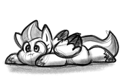 Size: 874x566 | Tagged: safe, artist:zutcha, imported from derpibooru, zipp storm, pegasus, pony, :t, adorazipp, cute, g5, grayscale, lying down, monochrome, prone, simple background, solo, sploot, white background