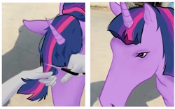 Size: 1661x1036 | Tagged: safe, imported from derpibooru, twilight sparkle, horse, human, unicorn, 2 panel comic, comic, ears up, floppy ears, forelock, haircut, hoers, horn, ponified animal photo, scissors, unicorn twilight