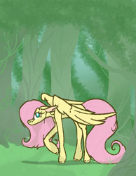 Size: 700x900 | Tagged: safe, artist:summerbeachyt, imported from derpibooru, fluttershy, pegasus, pony, solo