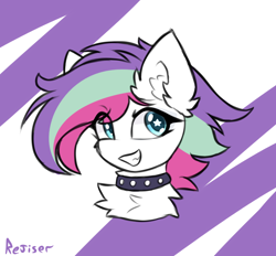 Size: 1400x1300 | Tagged: safe, artist:rejiser, imported from derpibooru, oc, oc only, earth pony, pony, chest fluff, collar, cute, ear fluff, female, simple background, smiling, solo