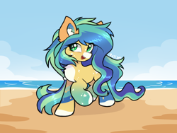 Size: 2000x1500 | Tagged: safe, artist:rejiser, imported from derpibooru, oc, oc only, earth pony, pony, beach, chest fluff, ear fluff, female, long hair, long tail, open mouth, raised hoof, simple background, smiling, solo, tail