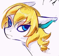 Size: 1398x1342 | Tagged: safe, artist:bluestarpipixing, imported from derpibooru, pony, animal crossing, blonde mane, blue eyes, bust, colton (animal crossing), ponified, portrait, simple background, solo, unamused, white background, white coat