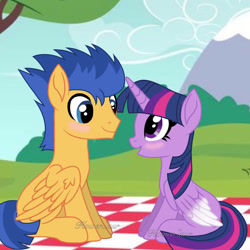 Size: 894x894 | Tagged: safe, artist:flowersaur, imported from derpibooru, flash sentry, twilight sparkle, pegasus, pony, solo