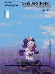 Size: 1620x2160 | Tagged: safe, artist:lendftcn, imported from derpibooru, rarity, pony, unicorn, female, flower, flower field, horn, mare, rainbow power, solo, text