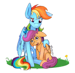 Size: 1306x1264 | Tagged: safe, artist:destiny_manticor, imported from derpibooru, rainbow dash, scootaloo, pegasus, pony, bruised, collar, commission, cuddling, duo, duo female, female, filly, floppy ears, flower, foal, folded wings, grass, grass field, looking at each other, looking at someone, mare, multicolored hair, one ear down, rainbow hair, scootalove, sibling love, simple background, sisterly love, sitting, smiling, smiling at each other, transparent background, wings