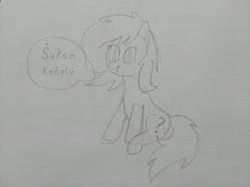 Size: 4032x3016 | Tagged: safe, artist:jakusi, oc, oc:filly anon, earth pony, pony, czech, czequestria, female, filly, mare, oblivious, sitting, sketch, solo, traditional art, vulgar