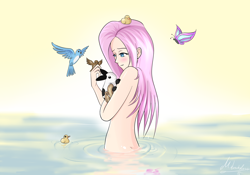 Size: 1920x1344 | Tagged: safe, artist:mricantdraw, imported from derpibooru, fluttershy, bird, butterfly, duck, human, animal, artistic nudity, blushing, female, humanized, nudity, partially submerged, solo, water