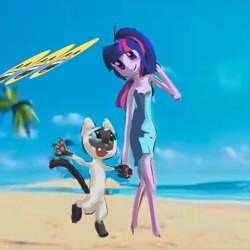 Size: 2000x2000 | Tagged: safe, artist:skypaw10, imported from derpibooru, twilight sparkle, cat, human, semi-anthro, equestria girls, beach, humanized, outdoors, walking