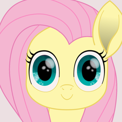 Size: 1080x1080 | Tagged: safe, artist:k. dale, imported from derpibooru, fluttershy, pegasus, pony, female, looking at you, mare, movie accurate, simple background, solo, white background