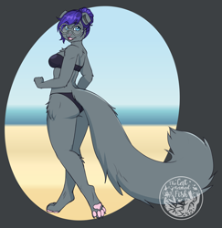 Size: 2344x2416 | Tagged: safe, artist:askbubblelee, imported from derpibooru, oc, oc only, abyssinian, anthro, digitigrade anthro, abyssinian oc, anthro oc, beach, bikini, breasts, butt, clothes, cute, digital art, female, glasses, looking back, ocean, smiling, solo, swimsuit, water