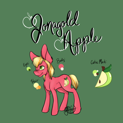 Size: 4096x4096 | Tagged: safe, artist:g-jnotes, imported from derpibooru, oc, oc:jonagold apple, earth pony, pony, absurd resolution, bucktooth, colt, foal, freckles, green background, male, name, offspring, parent:big macintosh, parent:cheerilee, parents:cheerimac, reference sheet, signature, simple background, solo