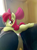 Size: 1385x1847 | Tagged: safe, artist:maretheory.exe, edit, imported from twibooru, apple bloom, earth pony, pony, /mlp/, 4chan, armchair, augmented reality, behaving like a cat, blank flank, bow, chair, colored, cute, drawthread, eye clipping through hair, female, filly, foal, hair bow, image, indoors, irl, looking at you, meme, photo, photo edit, png, ponified, ponified animal photo, prone, reference in the description, requested art, shading, solo, sploot, underhoof