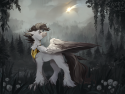 Size: 4000x3000 | Tagged: safe, imported from derpibooru, oc, oc:grae ironwing, hippogriff, black mane, forest background, royal guard, shooting star