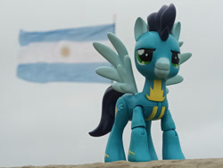 Size: 1032x774 | Tagged: safe, artist:dingopatagonico, imported from derpibooru, soarin', pegasus, argentina, flag, photo, solo