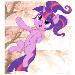 Size: 1080x1080 | Tagged: safe, artist:meteor s, imported from derpibooru, twilight sparkle, pony, unicorn, alternate hairstyle, cherry blossoms, chest fluff, cute, double tail, eye clipping through hair, flower, flower blossom, horn, leg fluff, multiple tails, open mouth, open smile, pigtails, red little book source, smiling, solo, tail, twiabetes, twintails, unicorn twilight