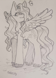 Size: 859x1200 | Tagged: safe, artist:mrln_zz, imported from derpibooru, fluttershy, butterfly, pegasus, pony, eyelashes, feathered wings, female, long legs, long mane, long tail, looking up, meadow, monochrome, pencil drawing, smiling, solo, solo female, spread wings, tail, traditional art, unshorn fetlocks, wavy mane, wavy tail, wings