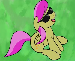 Size: 1325x1080 | Tagged: safe, artist:anonymous, imported from twibooru, sunny rays, pegasus, pony, /mlp/, 4chan, female, image, mare, needs more jpeg, open mouth, simple background, sitting, smiling, solo, sunbathing, sunglasses