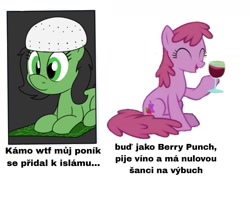 Size: 1369x1080 | Tagged: safe, imported from derpibooru, berry punch, berryshine, czech, islam, meme, politics