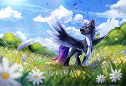 Size: 2048x1406 | Tagged: safe, artist:seurnik, oc, oc only, pony, male, nature, stallion