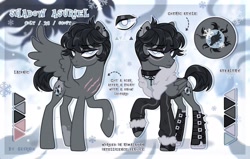 Size: 2048x1306 | Tagged: safe, artist:seurnik, oc, oc only, pony, boots, clothes, male, reference sheet, shoes, stallion, sweater