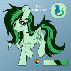 Size: 2000x2000 | Tagged: safe, artist:shelti, oc, oc only, pony, female, mare, reference sheet