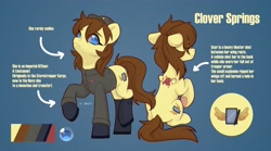 Size: 4096x2276 | Tagged: safe, artist:shelti, oc, oc only, oc:clover springs, pony, clothes, female, mare, reference sheet, socks