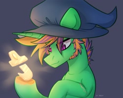 Size: 2048x1638 | Tagged: safe, artist:shelti, oc, oc only, pony, hat, male, stallion