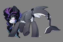 Size: 2048x1371 | Tagged: safe, artist:shelti, oc, oc only, orca, orca pony, original species, pony, male, stallion