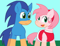 Size: 1031x794 | Tagged: safe, artist:cmara, imported from derpibooru, earth pony, pony, amy rose, duo, duo male and female, female, male, ponified, rule 85, sonic the hedgehog, sonic the hedgehog (series)