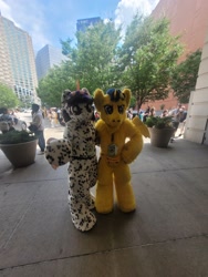 Size: 1536x2048 | Tagged: safe, imported from derpibooru, flash sentry, oc, oc:ditsy dots, human, duo focus, fursuit, irl, irl human, outdoors, photo, ponysuit