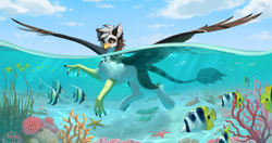 Size: 5700x3000 | Tagged: safe, artist:miurimau, imported from derpibooru, oc, oc only, fish, griffon, absurd resolution, commission, coral, crepuscular rays, griffon oc, partially submerged, seaweed, solo, spread wings, swimming, underwater, water, wings