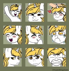 Size: 3000x3076 | Tagged: safe, artist:purple wingshade, imported from derpibooru, oc, oc only, oc:srok, pony, unicorn, angry, annoyed, commission, crying, emoji, emotes, exhausted, giggling, horn, laughing, petting, smug, solo, tired, tired eyes, wave, ych result